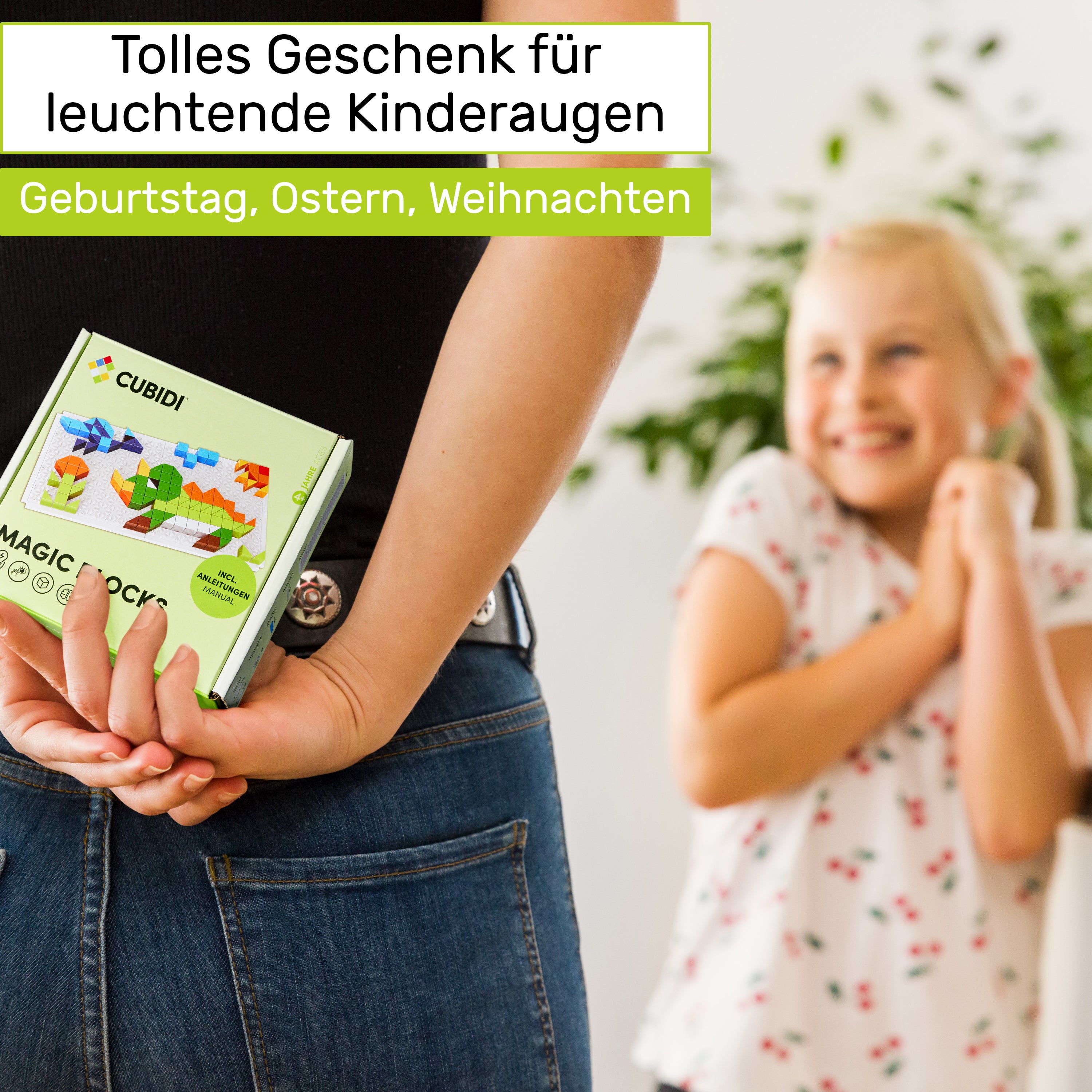 Steckspiel - Dino Edition - CUBIDI