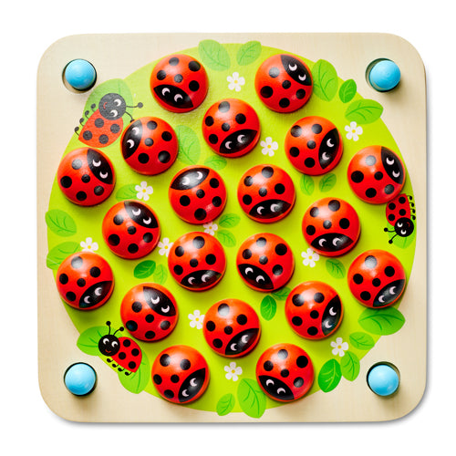 Ladybug Memory - CUBIDI