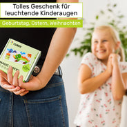 Steckspiel - Dino Edition - CUBIDI
