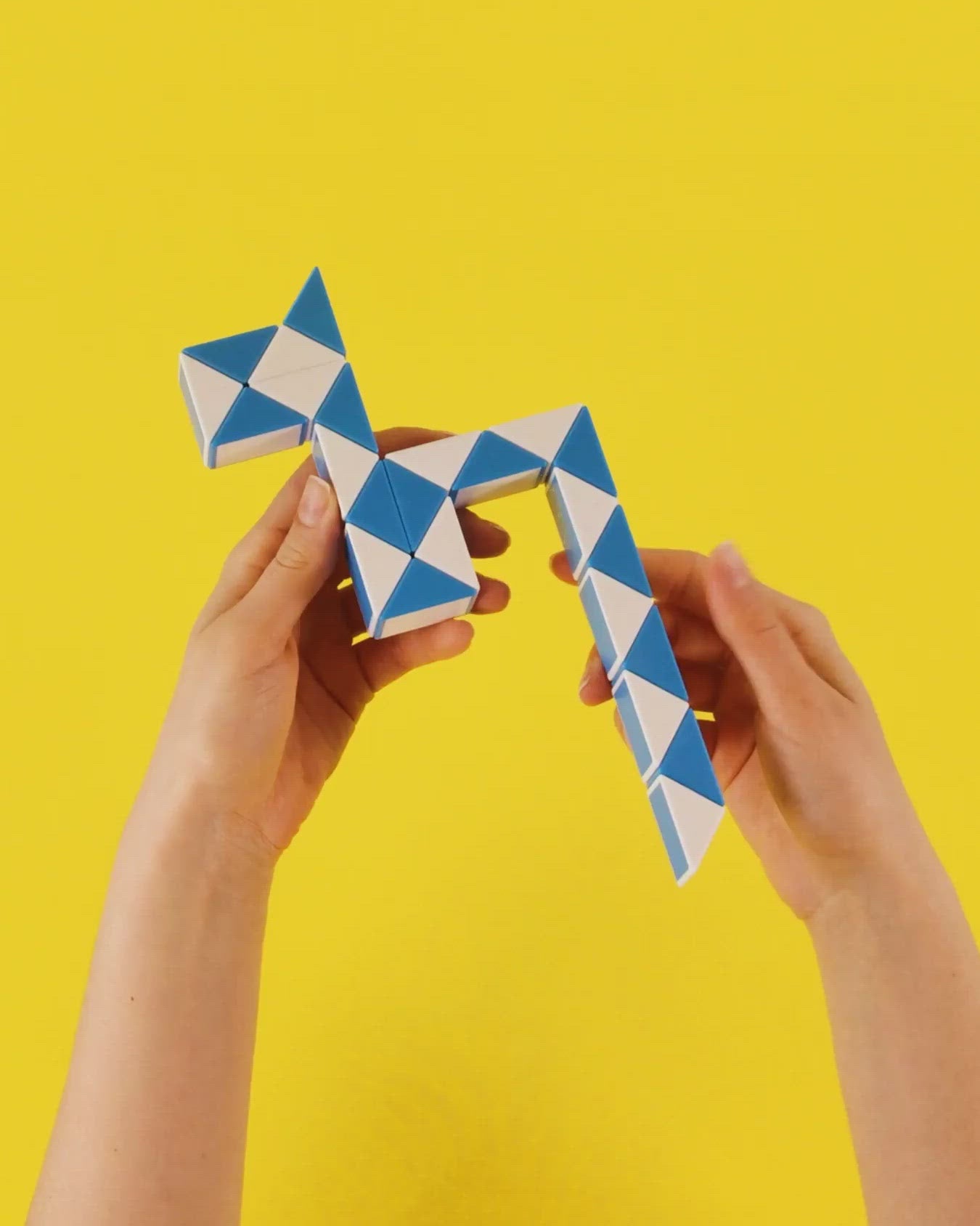 Magic Snake Set Groß